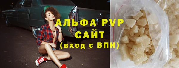 трава Белокуриха