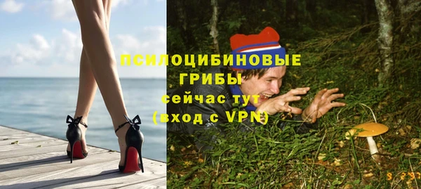трава Белокуриха
