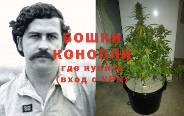 ALPHA PVP Беломорск