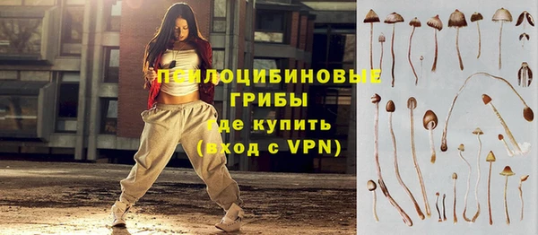 трава Белокуриха