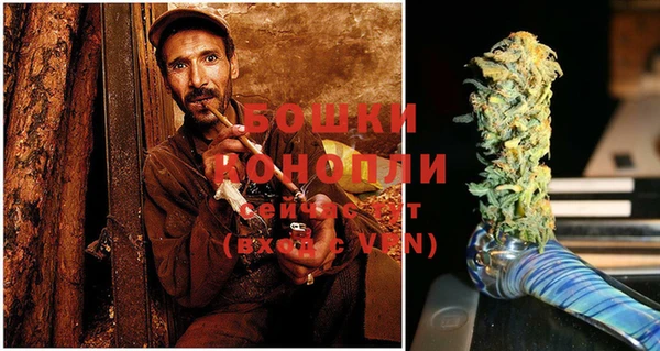 трава Белокуриха
