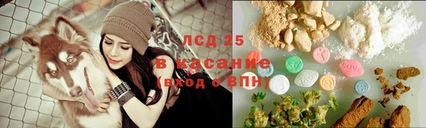 ALPHA PVP Беломорск