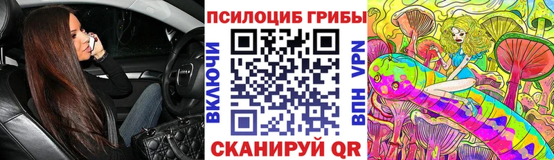Псилоцибиновые грибы MAGIC MUSHROOMS  нарко площадка как зайти  Котельники 